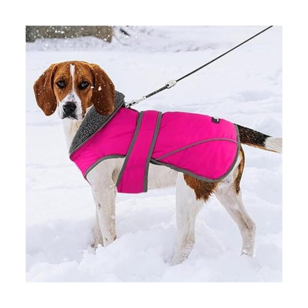 Dogcheer Abrigo para perro chaqueta de invierno para_2
