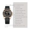 Reloj de pulsera Pagani Design 1651 para hombre mecánico_3