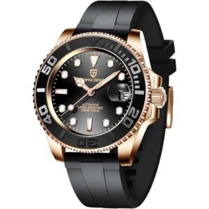 Reloj de pulsera Pagani Design 1651 para hombre mecánico_1