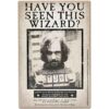 Open Road Brands Harry Potter Have You Seen This Wizard_1