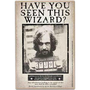 Open Road Brands Harry Potter Have You Seen This Wizard_1