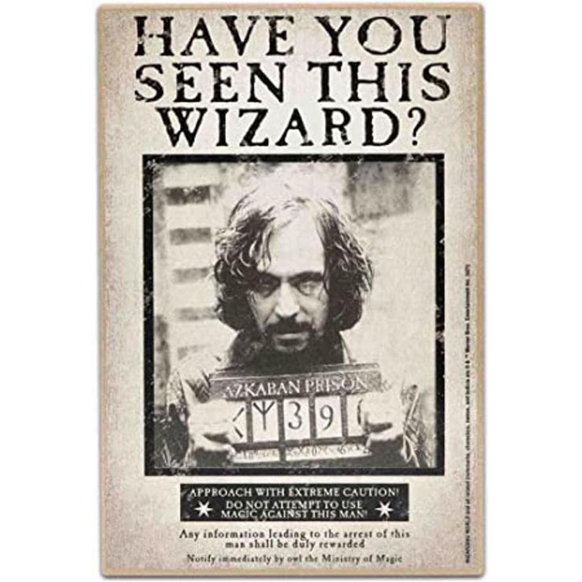 Open Road Brands Harry Potter Have You Seen This Wizard