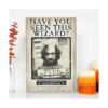 Open Road Brands Harry Potter Have You Seen This Wizard_5