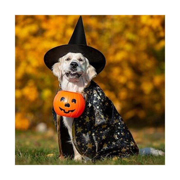 6 sombreros de brujas negras de Halloween accesorios de_4