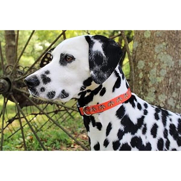 Limeloot Collar de perro de Acción de Gracias pavos_4