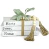 TenXVI Designs Libros blancos decorativos juego de 3