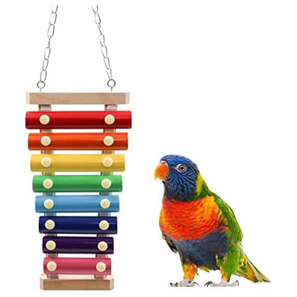 Dnoifne Colorido juguete xilófono de pájaros juguete de