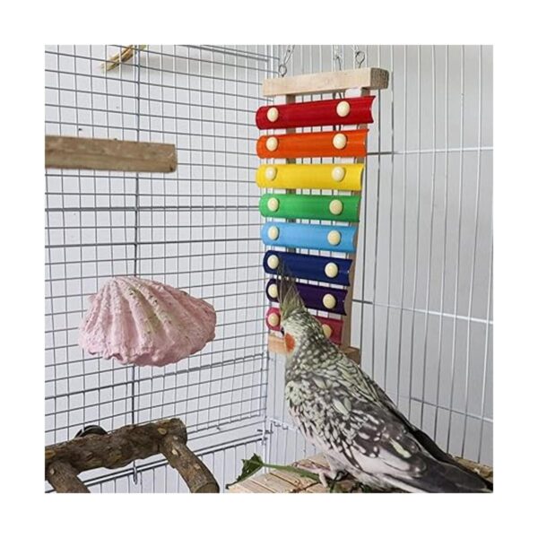 Dnoifne Colorido juguete xilófono de pájaros juguete de_3