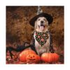 Paquete de 2 bandanas de Halloween para perros pañuelos
