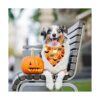 Paquete de 2 bandanas de Halloween para perros pañuelos