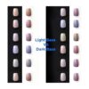 Rolio Pigments Interference Mica Powder 12 tarros de