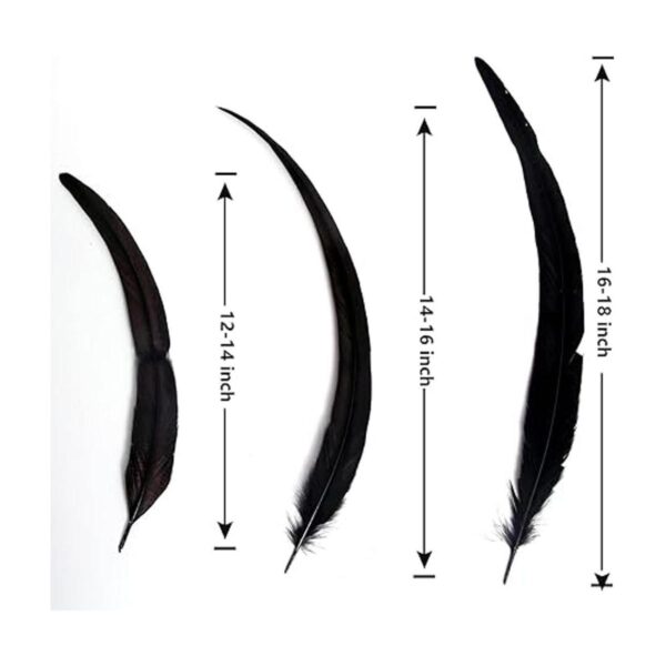 THARAHT 50 plumas de cola de gallo naturales a granel_3