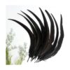 THARAHT 50 plumas de cola de gallo naturales a granel_2