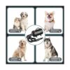 EGFKI Secador de pelo de perro 5.2 HP3800 W de alta