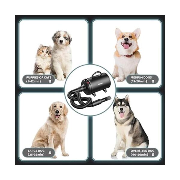 EGFKI Secador de pelo de perro 5.2 HP3800 W de alta