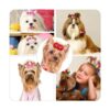 Mruq pet 100 lazos para el pelo de perro con bandas de