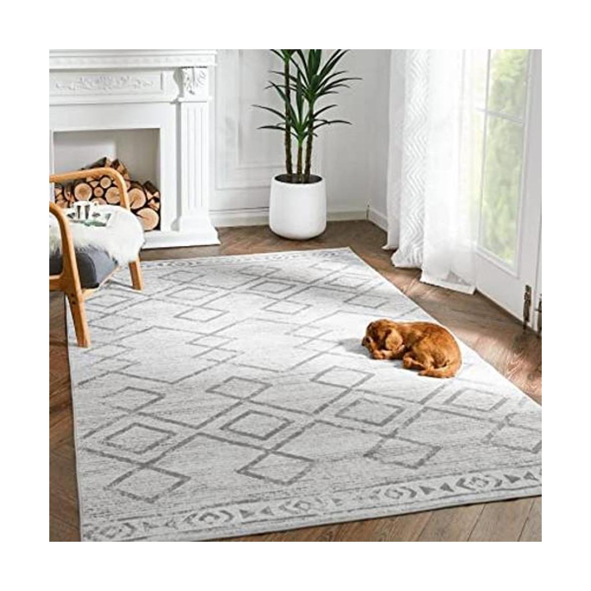 JINCHAN Area Rug 3x5 Entryway Grey Modern Rug Low Pile