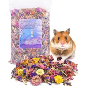 Bissap Ropa de cama para hámster de flores naturales y