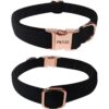 PETZC Collar de perro de niña de flores collar de gamuza