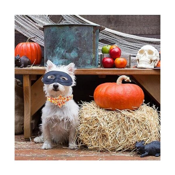 Elegant little tail Collar de perro con flor collar de