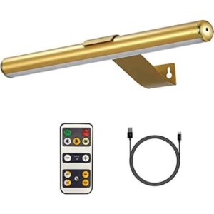 VIGMOJ Wireless Picture Light Battery_1