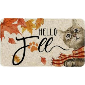 Hello Fall Tapete de puerta de 30 x 17 pulgadas tapete_1