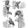 Sello de goma transparente con texto de mariposa diseño
