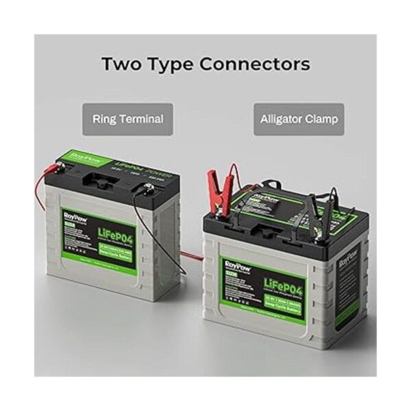 RoyPow Cargador de batería de 12 V LiFePO4 de 10 amperios_2