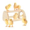 Cubolar Percha de pollo de pino con espejo barra de