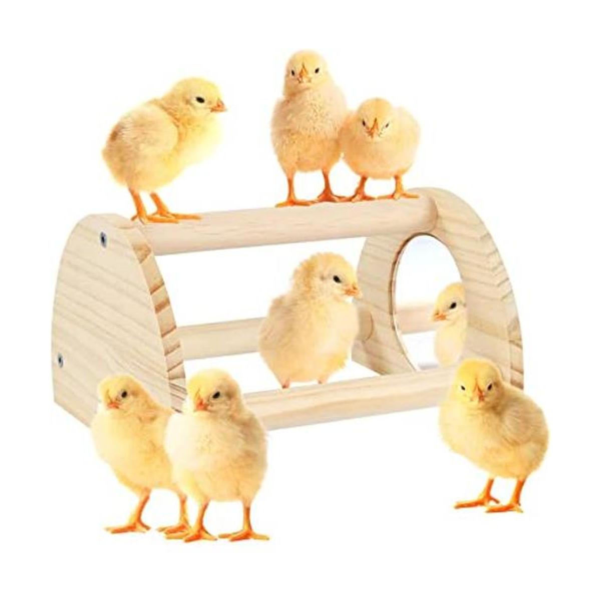 Cubolar Percha de pollo de pino con espejo barra de