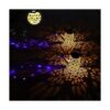 VOOKRY Regadera solar con luces luces LED moradas_2
