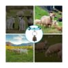 GINDOOR 5 Pack Reflective Goat Collars with Bells Cow