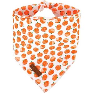 UP URARA PUP Pañuelo para perro bufanda triangular para_1