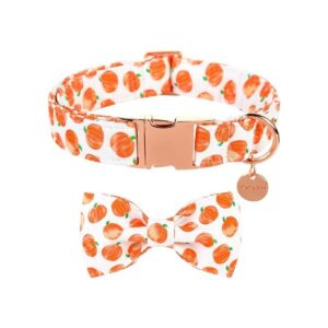 UP URARA PUP Collar de perro de Halloween con corbatín