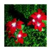 Aolyty Luces solares de jardín IP65 impermeables luces_4