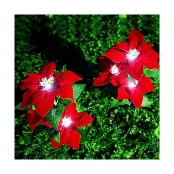 Aolyty Luces solares de jardín IP65 impermeables luces_4