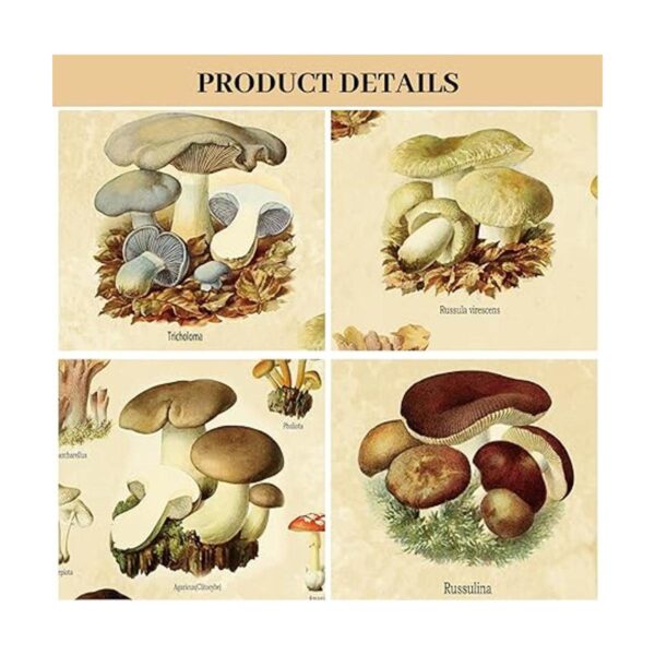 Póster vintage de hongos estéticos para pared estilo_2