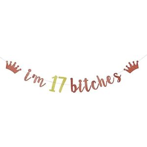 Estoy 17 Bitches Banner decoración de la fiesta de 17_1