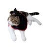 Pethouzz Capa de Halloween mascotas y perros