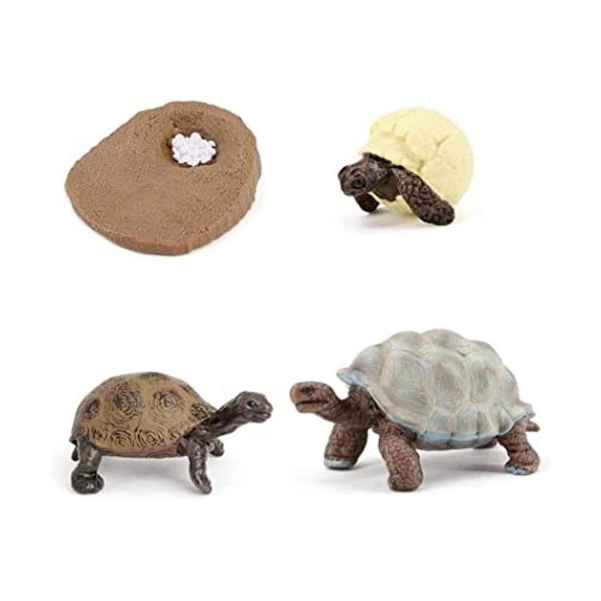 MODEBESO Figuras de animales realistas ciclo de vida de