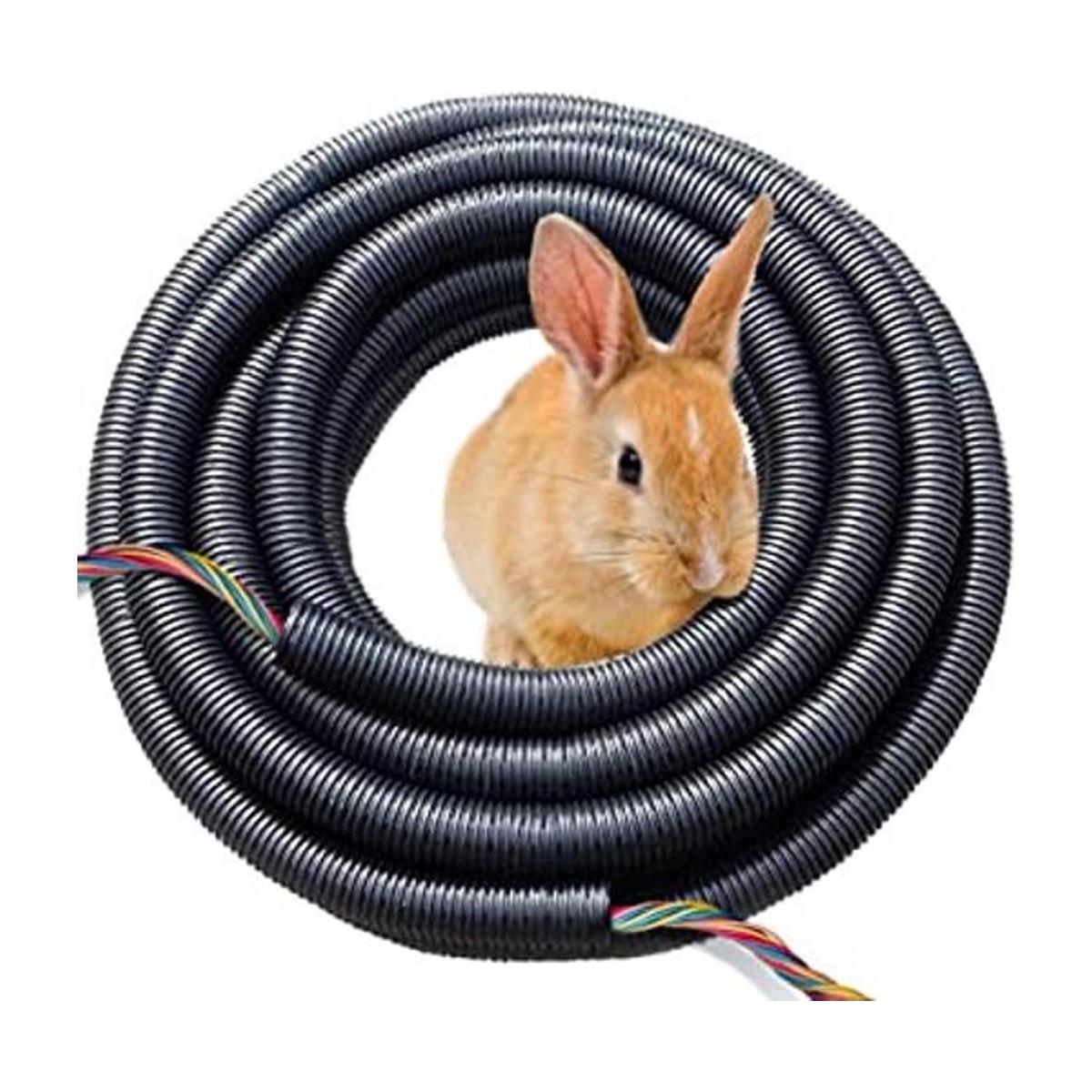 SunGrow Protector de cable para perros gatos conejo