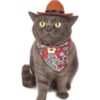 Disfraz de vaquero para mascotas divertido disfraz de