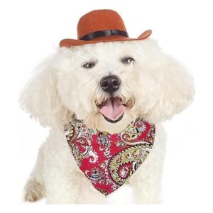 Disfraz de vaquero para mascotas divertido disfraz de