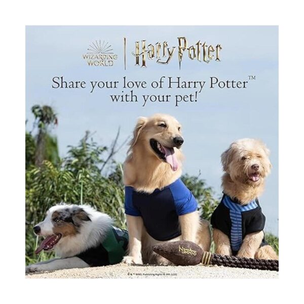 Harry Potter Slytherin Collar para perro de Harry Potter