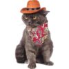 Disfraz de vaquero para mascotas divertido disfraz de