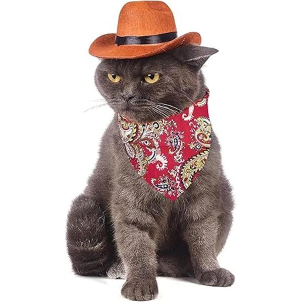 Disfraz de vaquero para mascotas divertido disfraz de