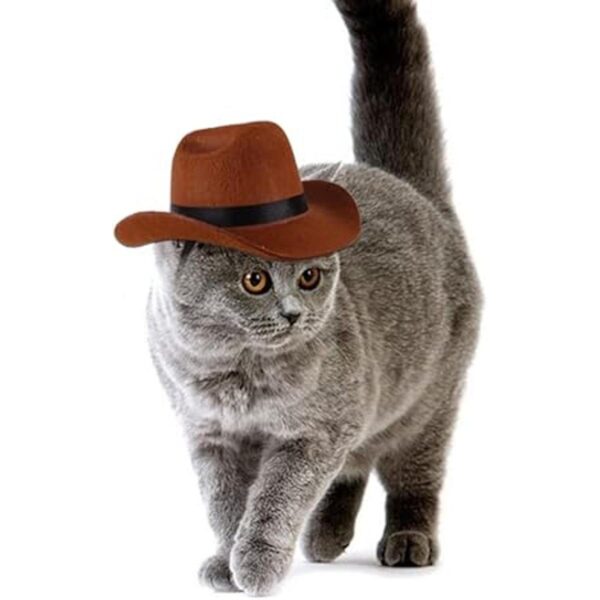Disfraz de vaquero para mascotas divertido disfraz de