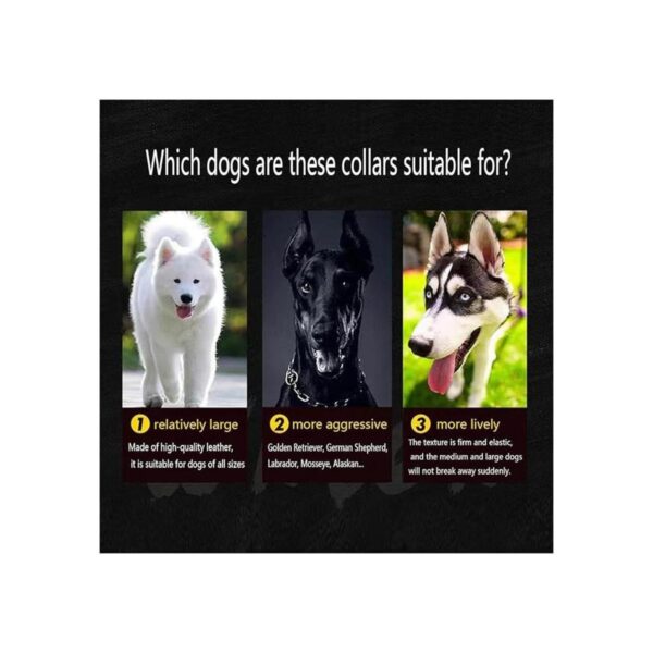 Collar de cuero para perros grandes aspecto moderno y