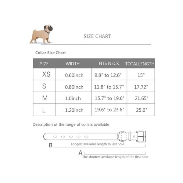 Collar de cuero para perros grandes aspecto moderno y