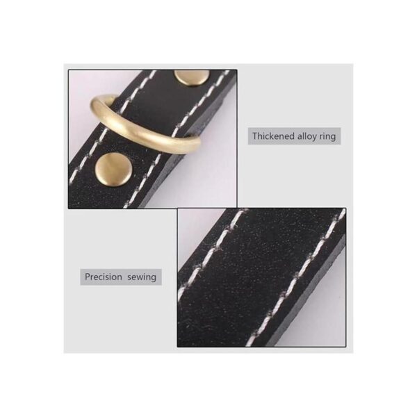 Collar de cuero para perros grandes aspecto moderno y